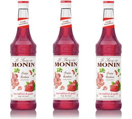 Lot De Sirops Monin Fraise Bonbon X Cl