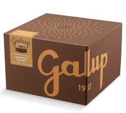 Galup Panettone with Marrons Glacés (Glazed Chesnuts) - 1kg