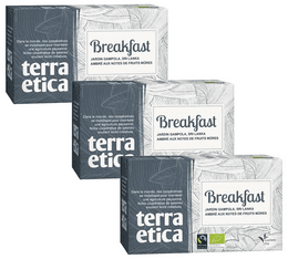 Pack Thé Noir Breakfast Bio & Equitable - 3 x 20 sachets - TERRA ETICA