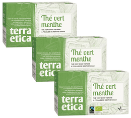 Pack Thé Vert Menthe Bio & Equitable - 3 x 20 sachets - TERRA ETICA