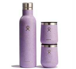 Set bouteille à vin 75 cl et verres 2 x 29cl - HYDRO FLASK