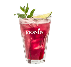 blueberry syrup monin glass bottle